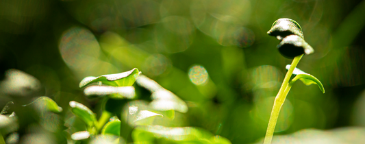 Mindset: Warum „Ergebnisoffenheit" die Treffquote steigern kann